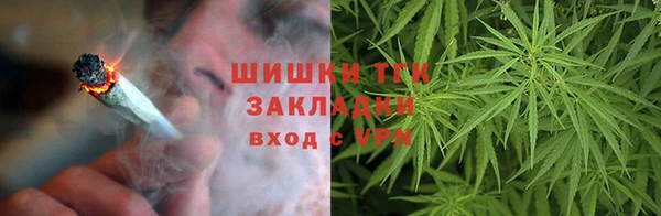 ПСИЛОЦИБИНОВЫЕ ГРИБЫ Богданович