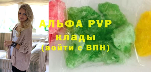 ПСИЛОЦИБИНОВЫЕ ГРИБЫ Богданович