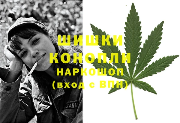 ПСИЛОЦИБИНОВЫЕ ГРИБЫ Богданович