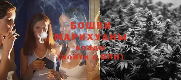 ПСИЛОЦИБИНОВЫЕ ГРИБЫ Богданович