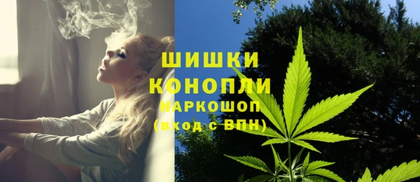 ПСИЛОЦИБИНОВЫЕ ГРИБЫ Богданович
