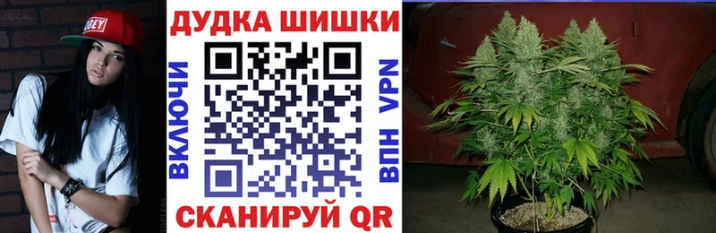 Шишки марихуана Amnesia  Люберцы 